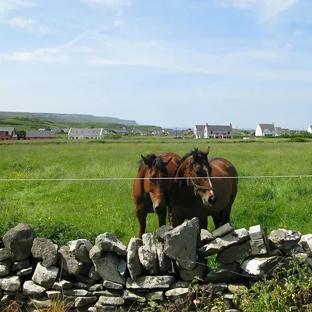 Nellie Dee's Doolin