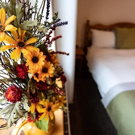 Nellie Dee's Oda ve Kahvaltı 3*